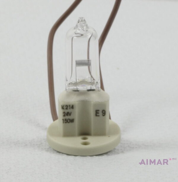 11-004_ampoule